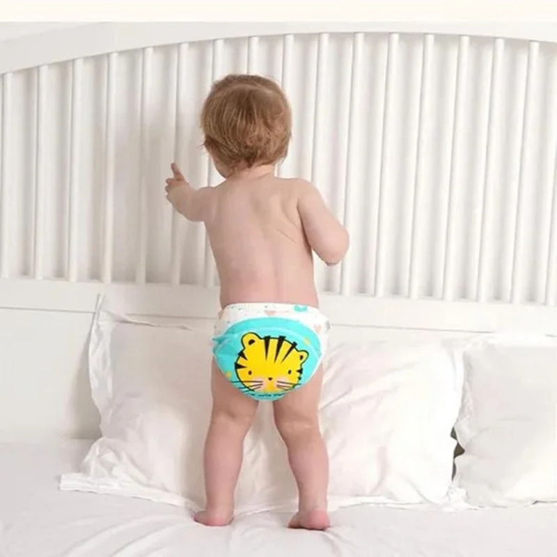 4 Washable Baby Diaper